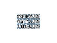 上海寶山區(qū)商務(wù)調(diào)查信息咨詢公司的業(yè)務(wù)模式與服務(wù)價(jià)值探討